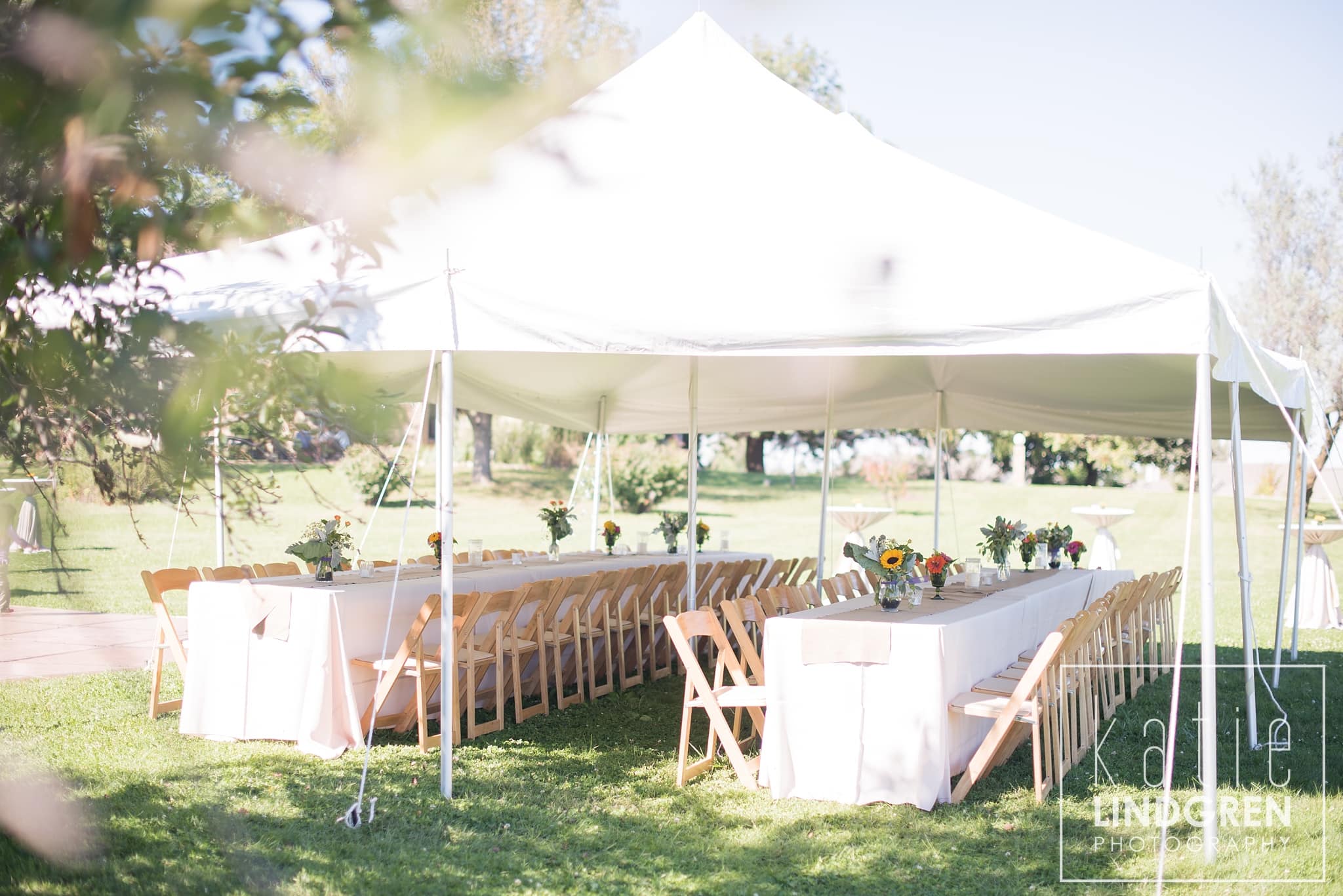 Reception Photographer
