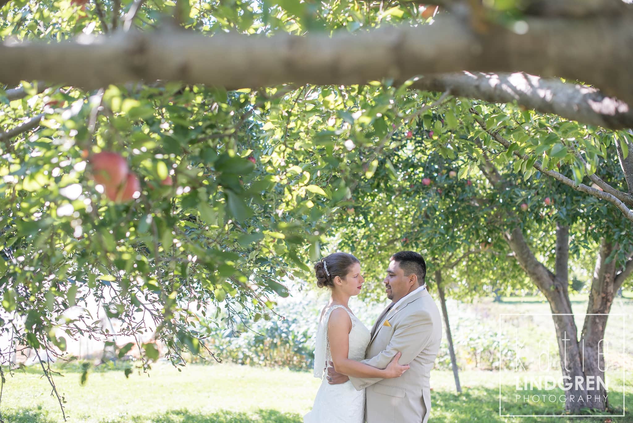 Reception Photographer