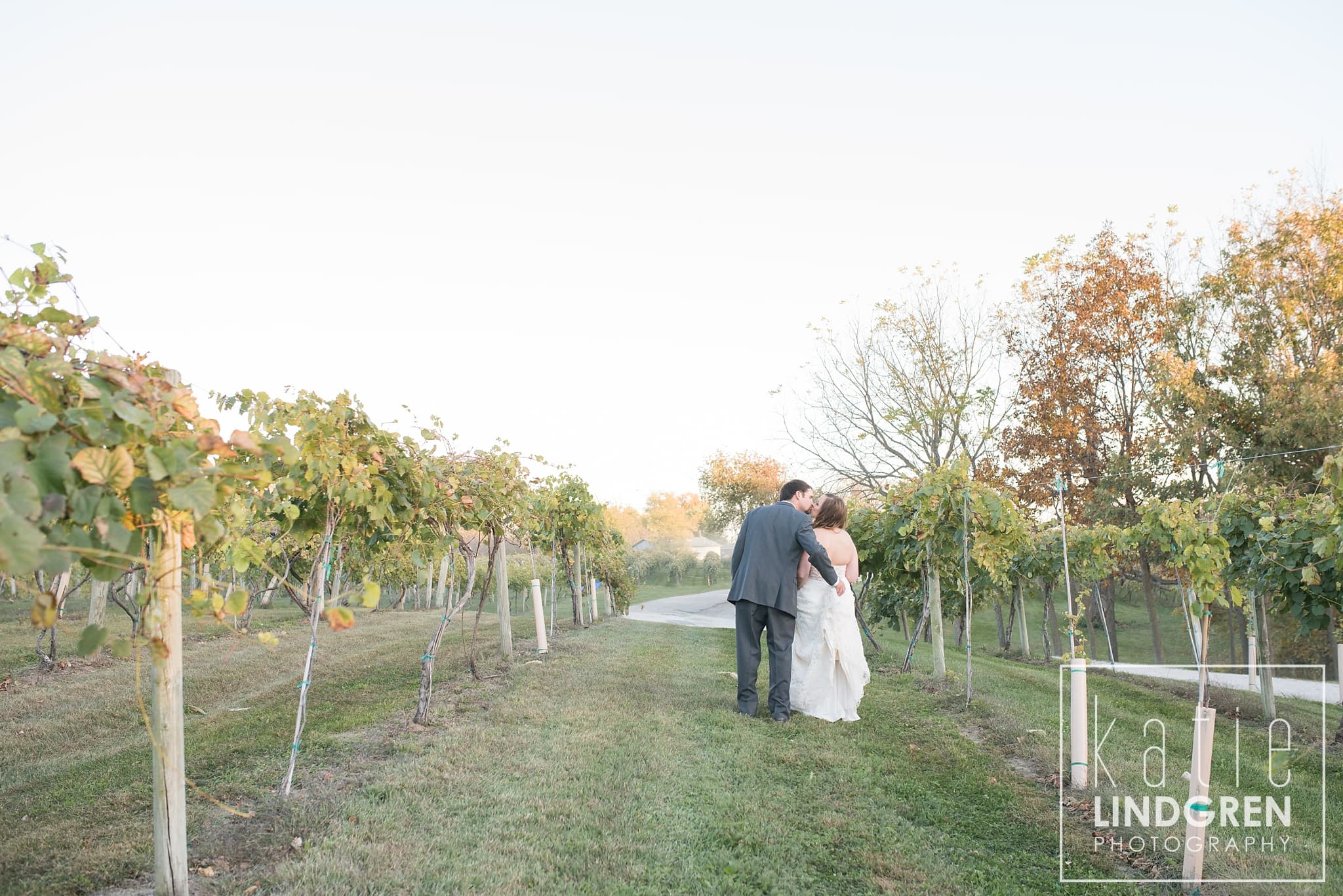 Summerset Winery Wedding