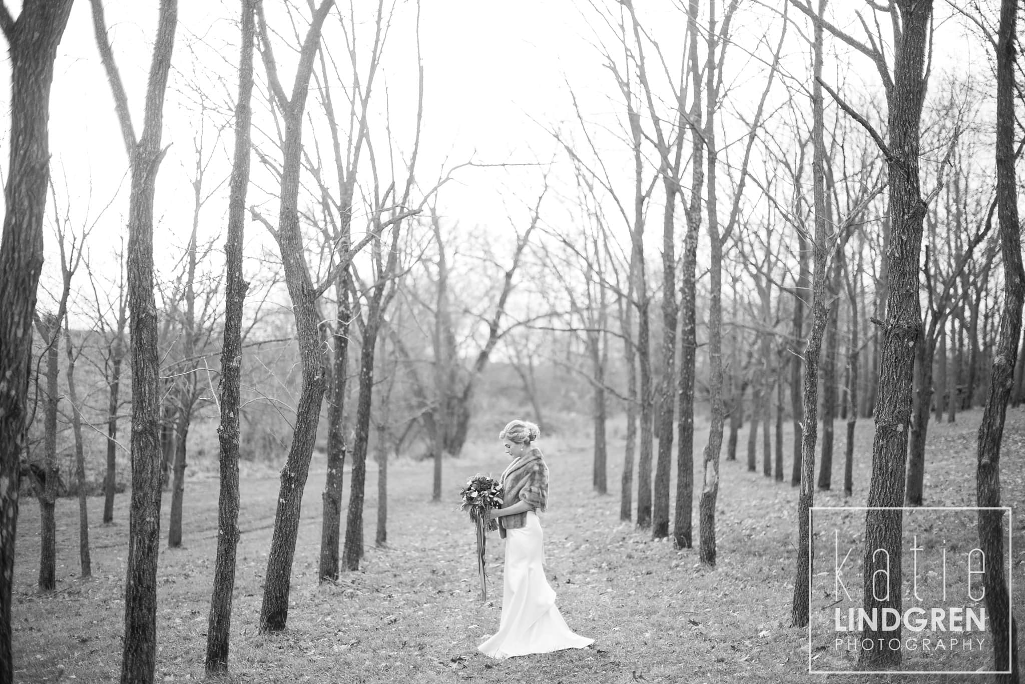 Des Moines Iowa Wedding Photographer