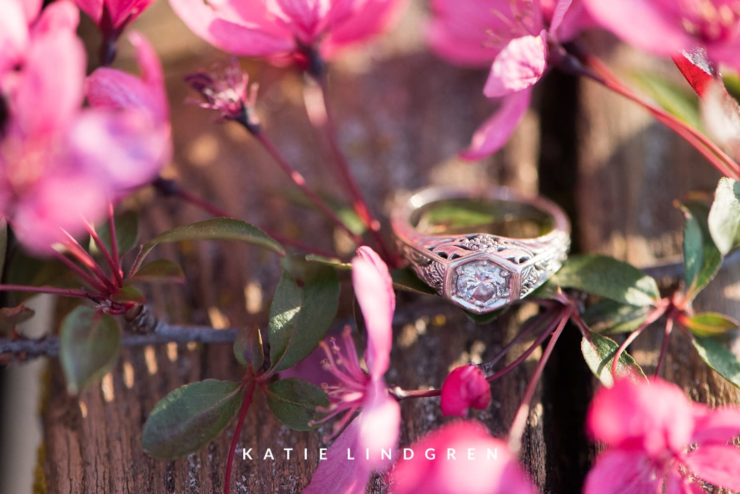 Midwest Engagement Photographer