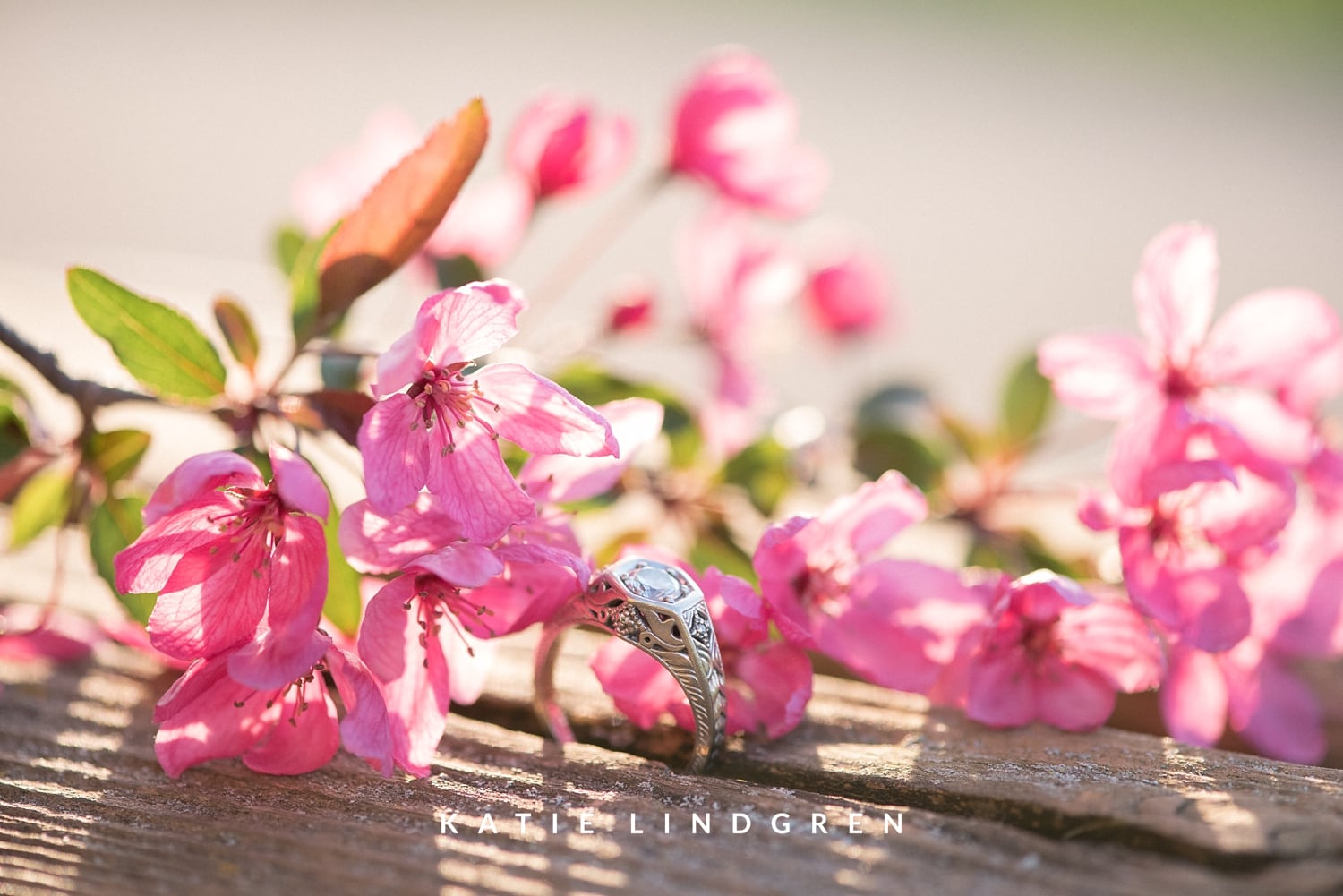 Midwest Engagement Photographer