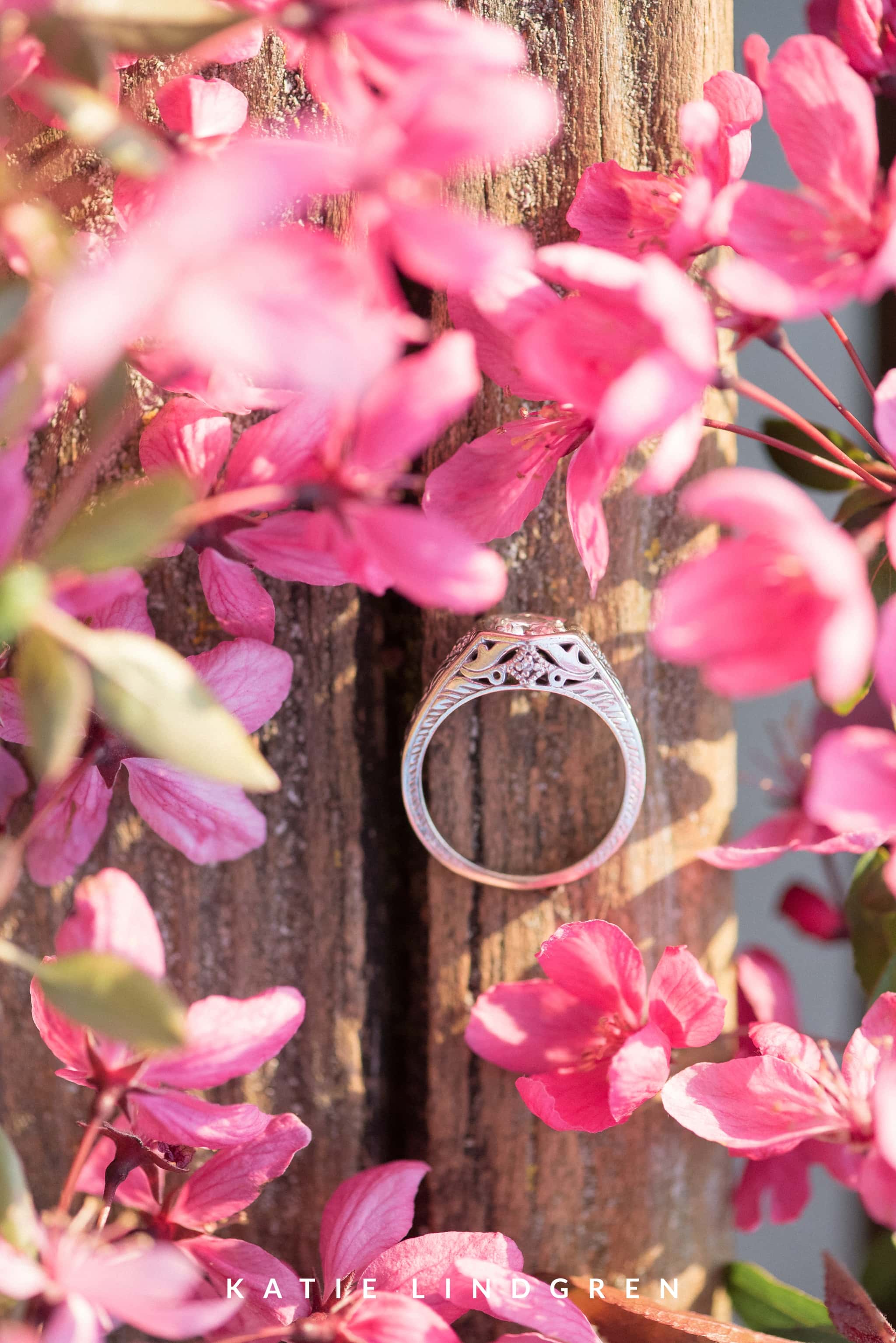 Midwest Engagement Photographer