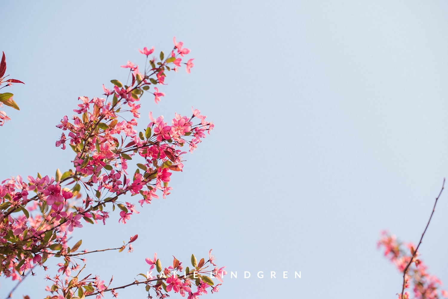 Midwest Engagement Photographer