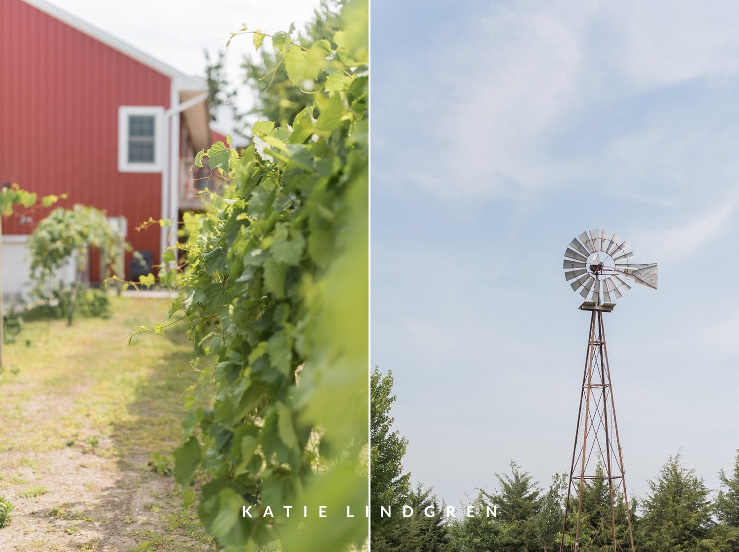 Snus Hill Winery Wedding