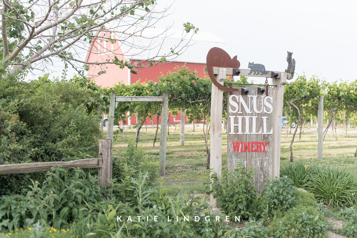 Snus Hill Winery Wedding