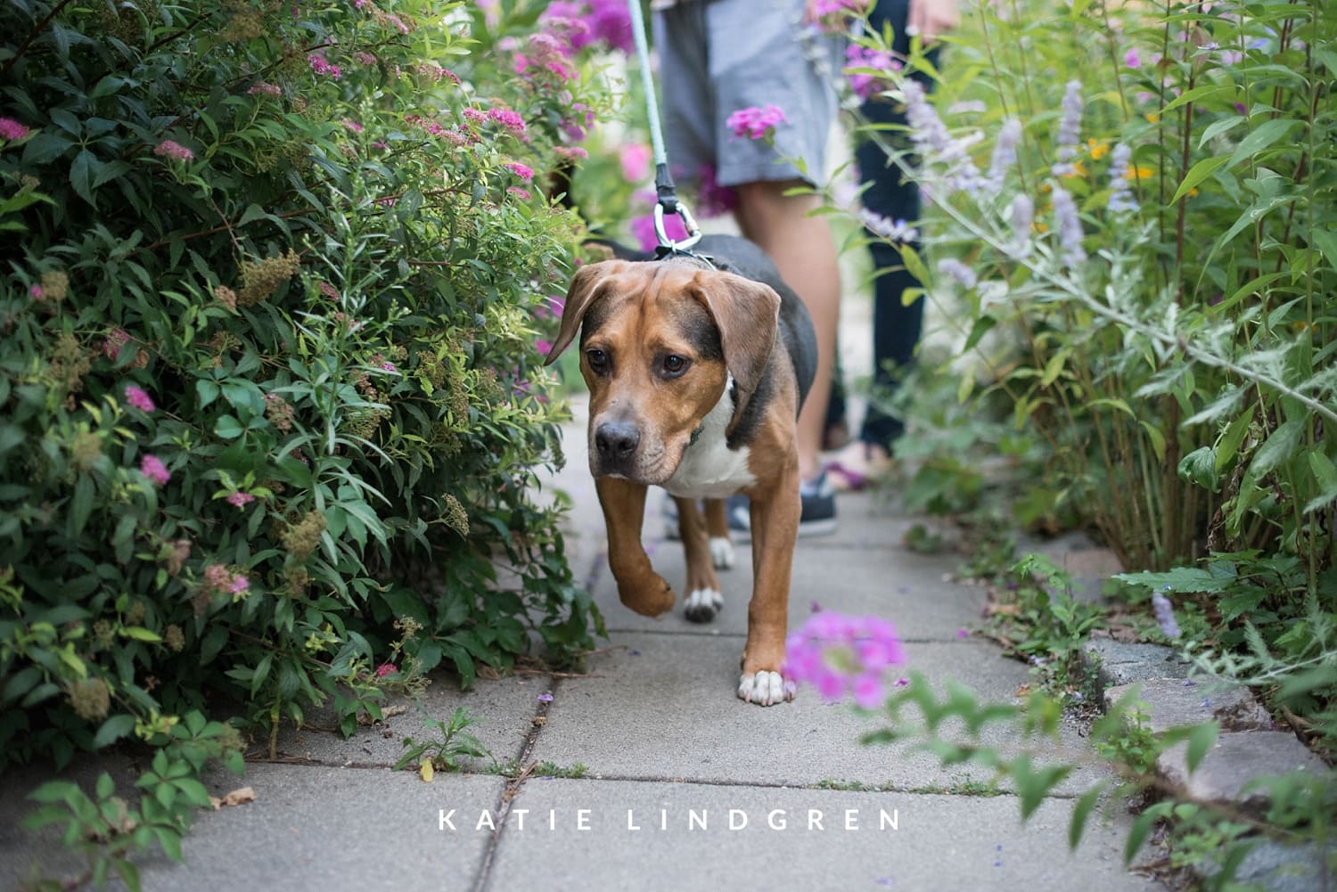 Minneapolis Engagement Photographer