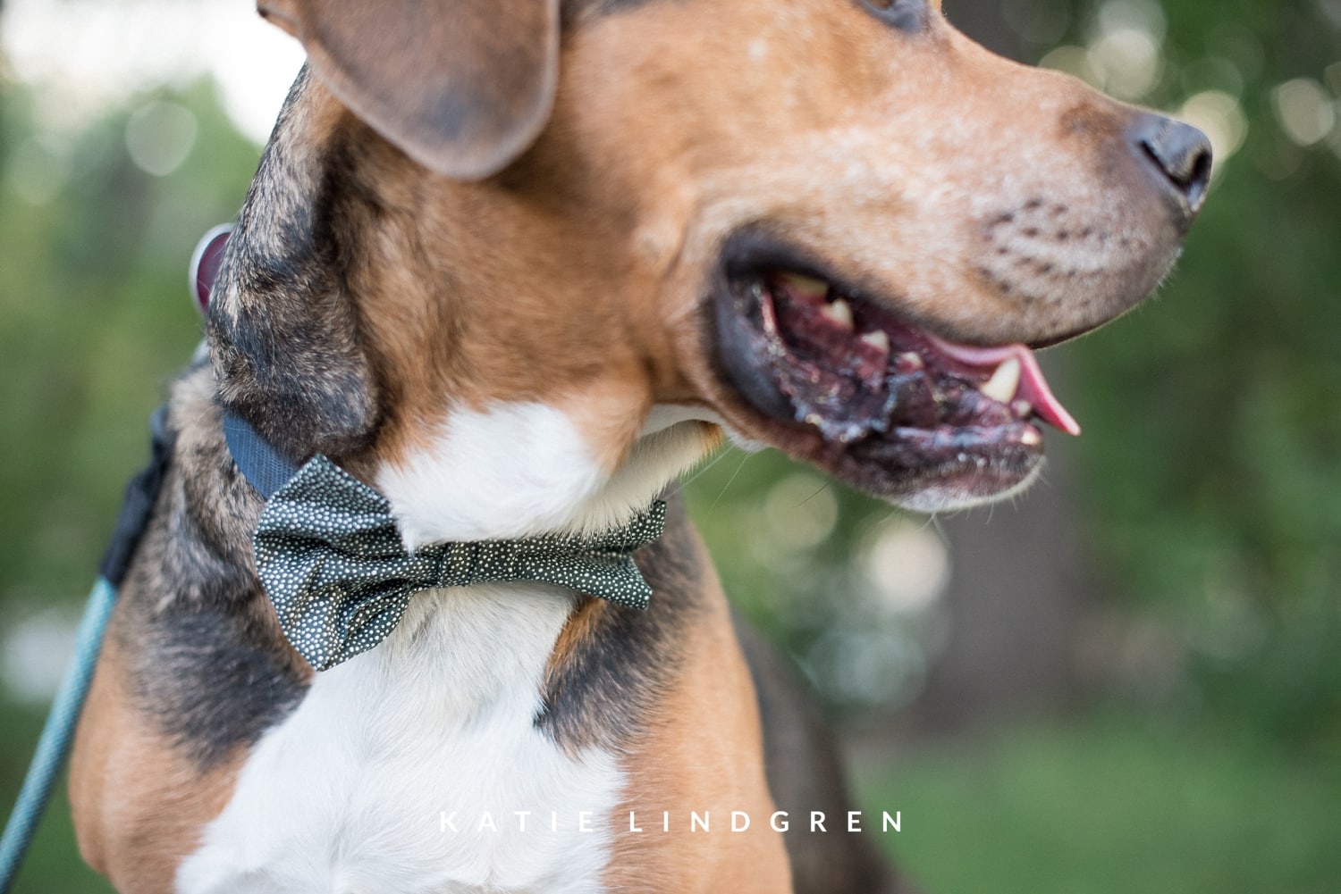 Minneapolis Engagement Photographer