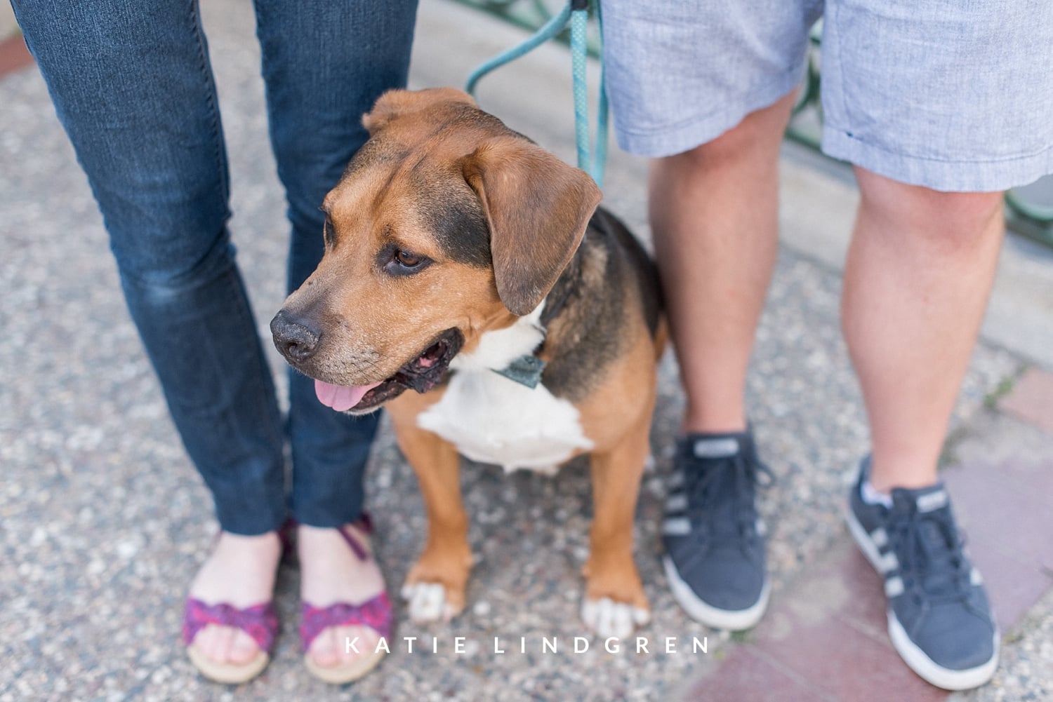 Minneapolis Engagement Photographer