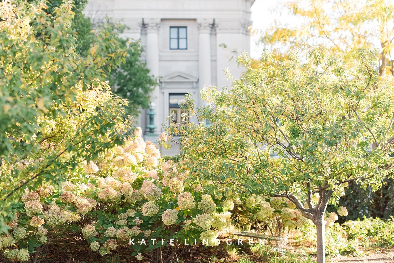 Downtown Des Moines Engagement Session