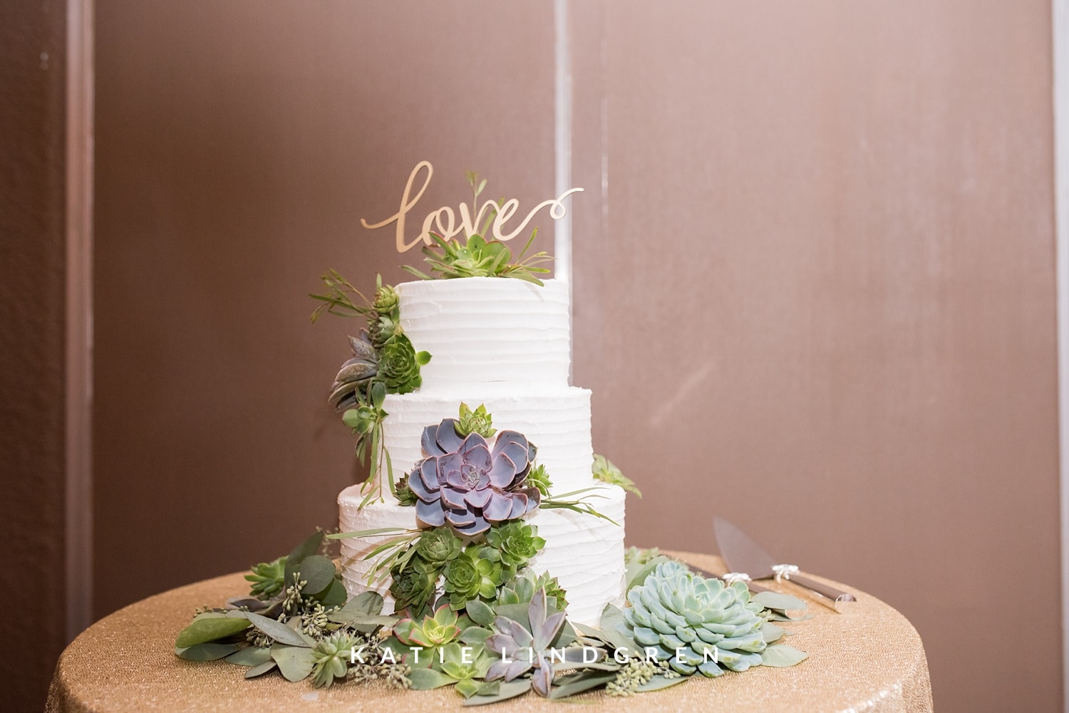 Des Moines Iowa Wedding Photographers