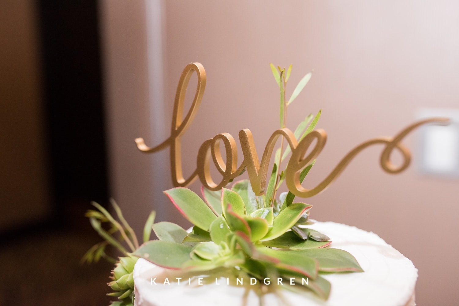 Des Moines Iowa Wedding Photographers