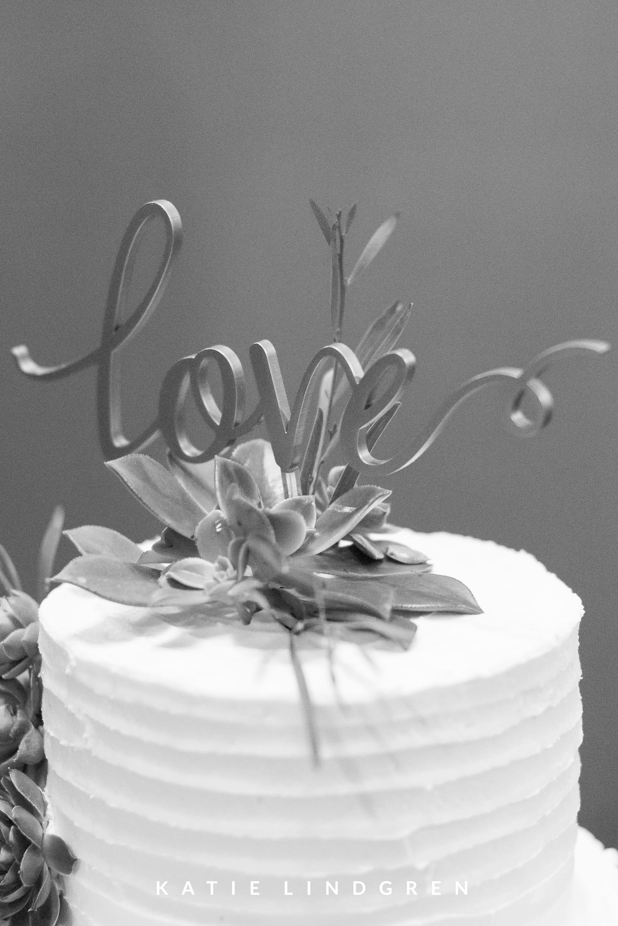 Des Moines Iowa Wedding Photographers