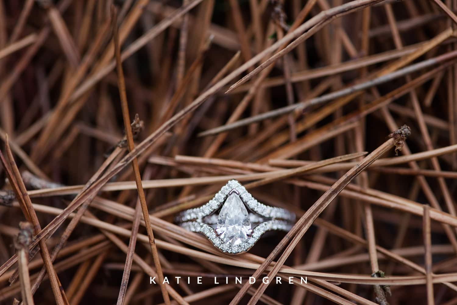 Jester Park Wedding Photographer
