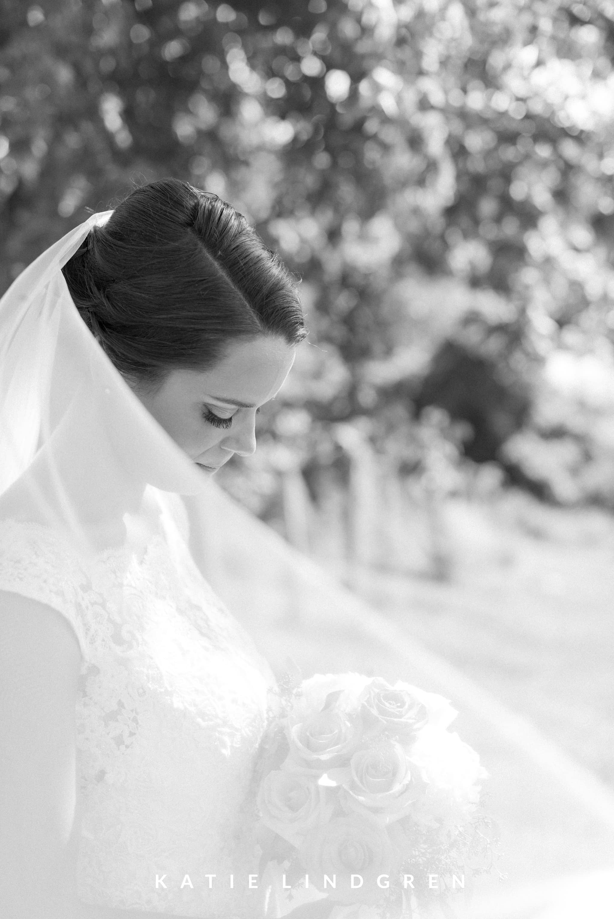 Des Moines Wedding Photographer