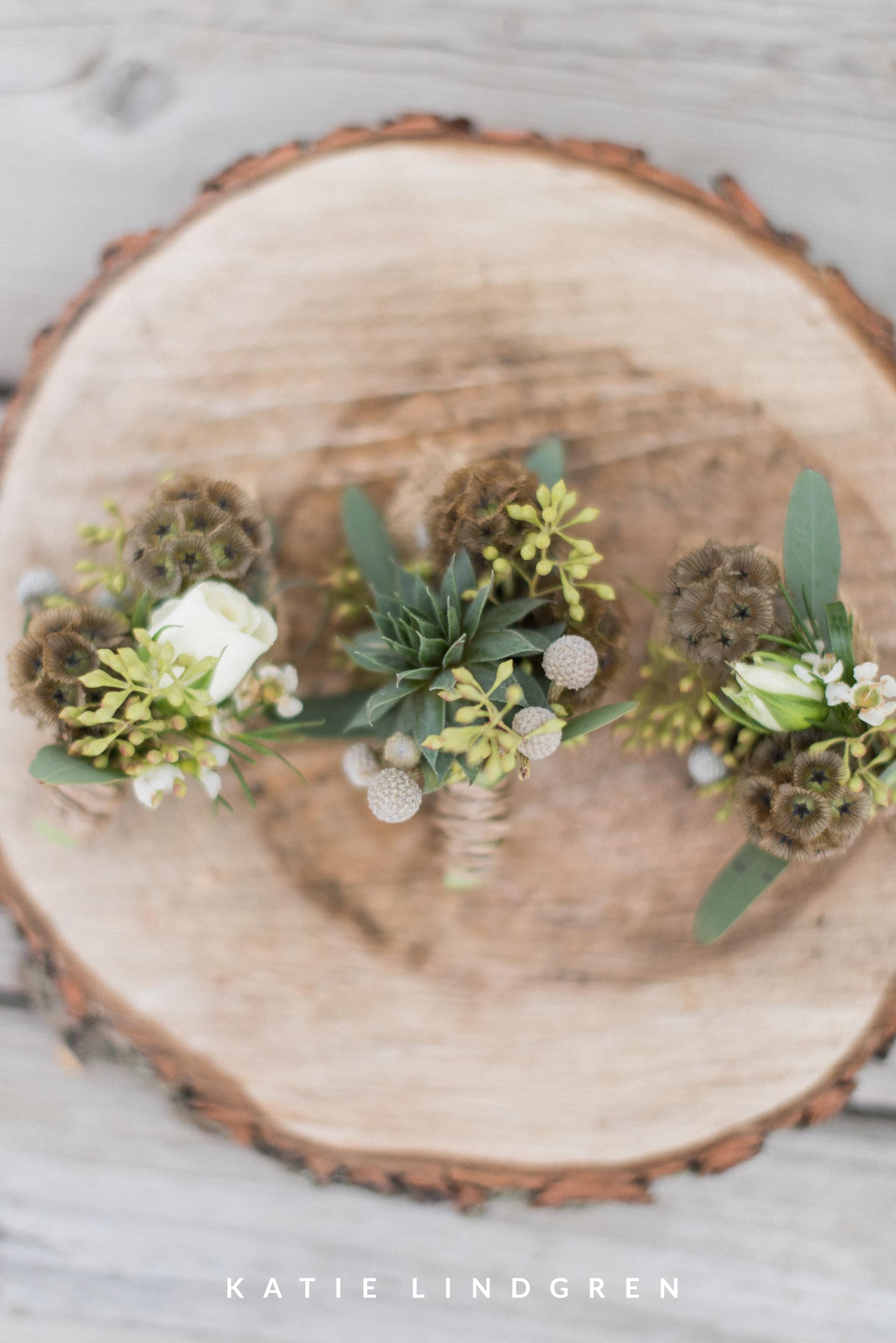 Des Moines Wedding Photographer