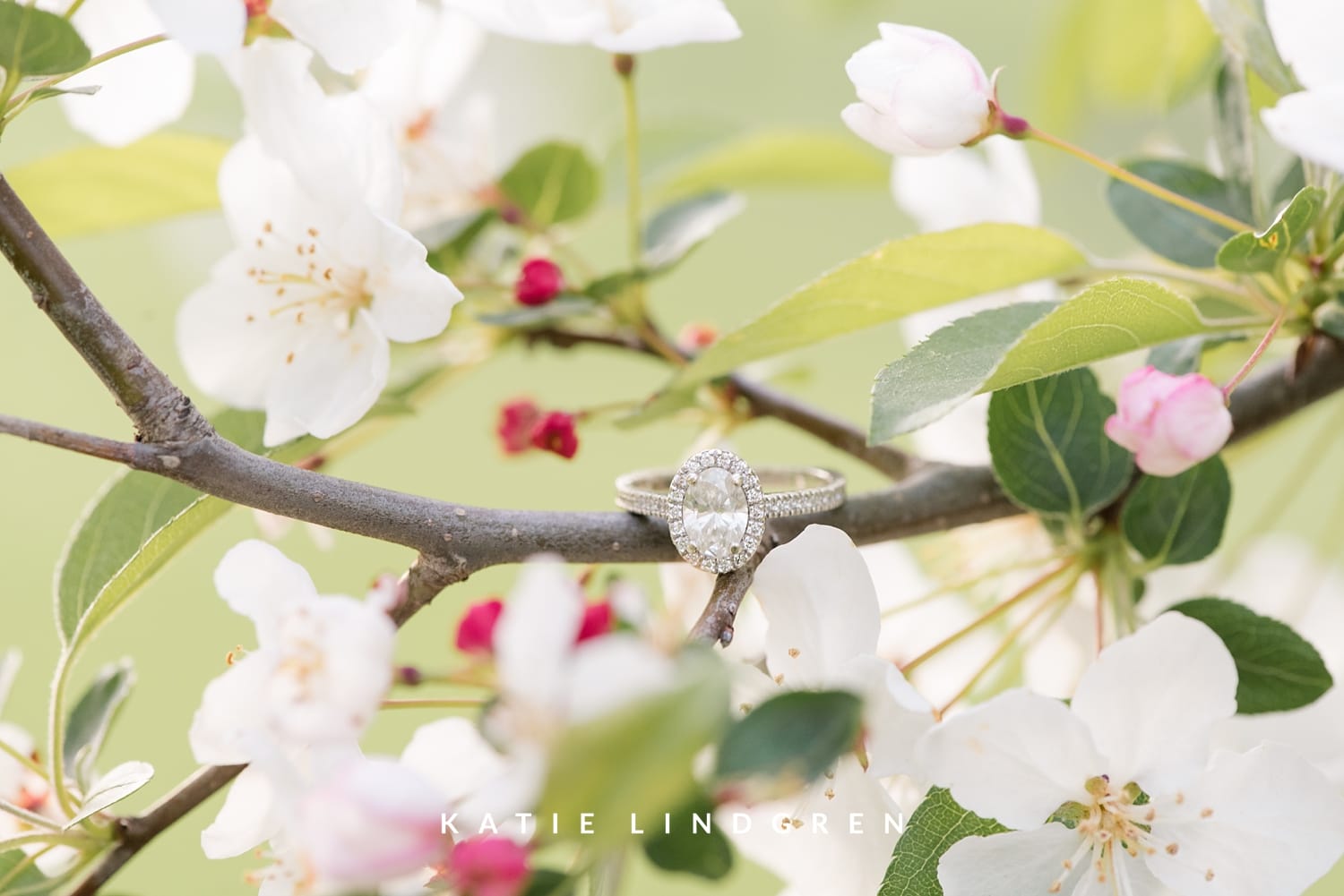 Des Moines Engagement Photographer