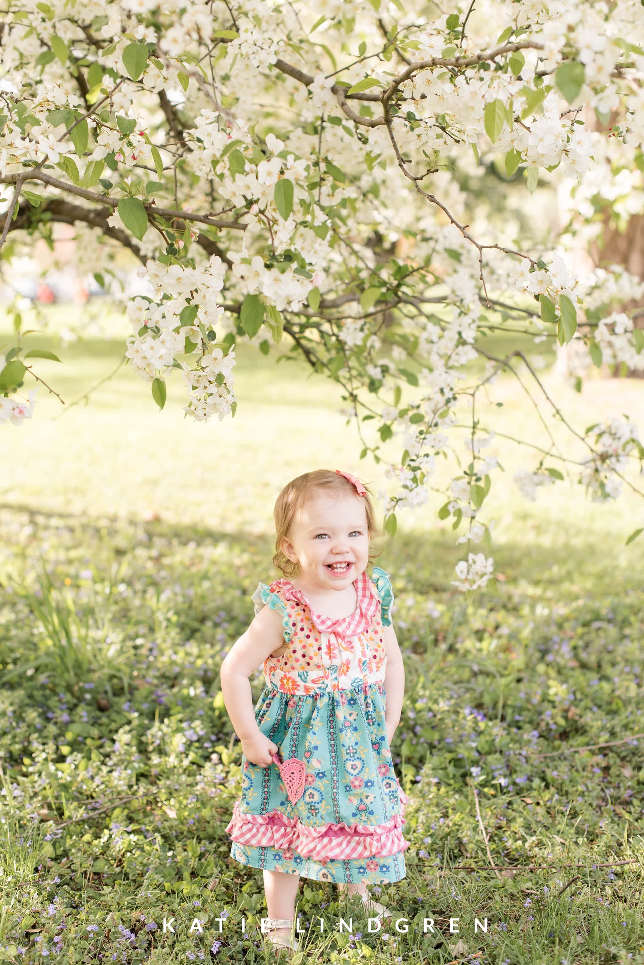 Des Moines Family Photographer