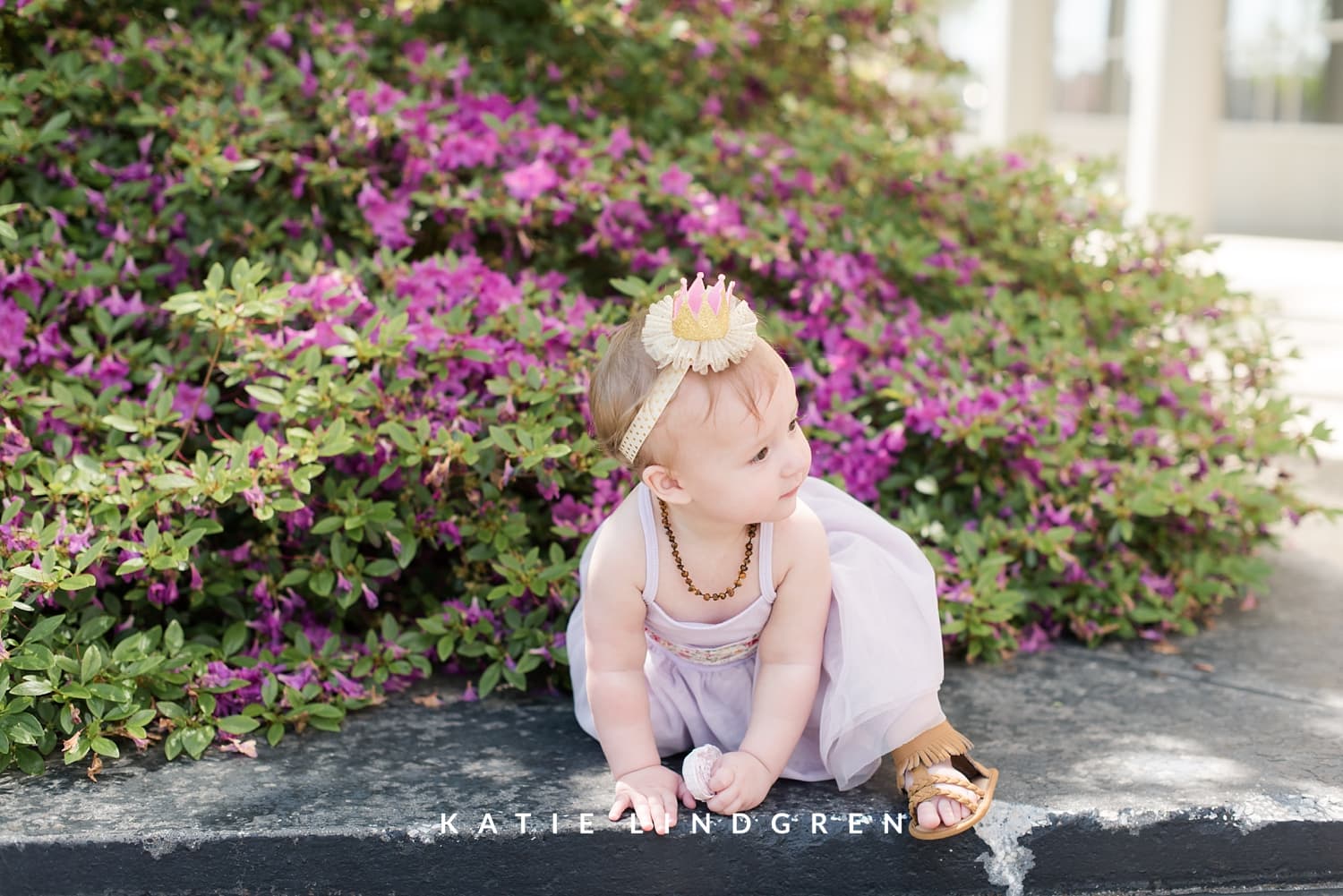 Des Moines Family Photographer