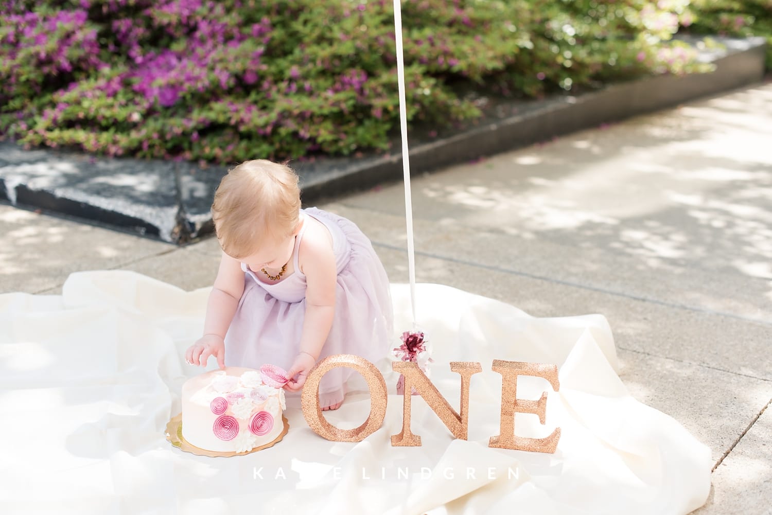 Des Moines Family Photographer