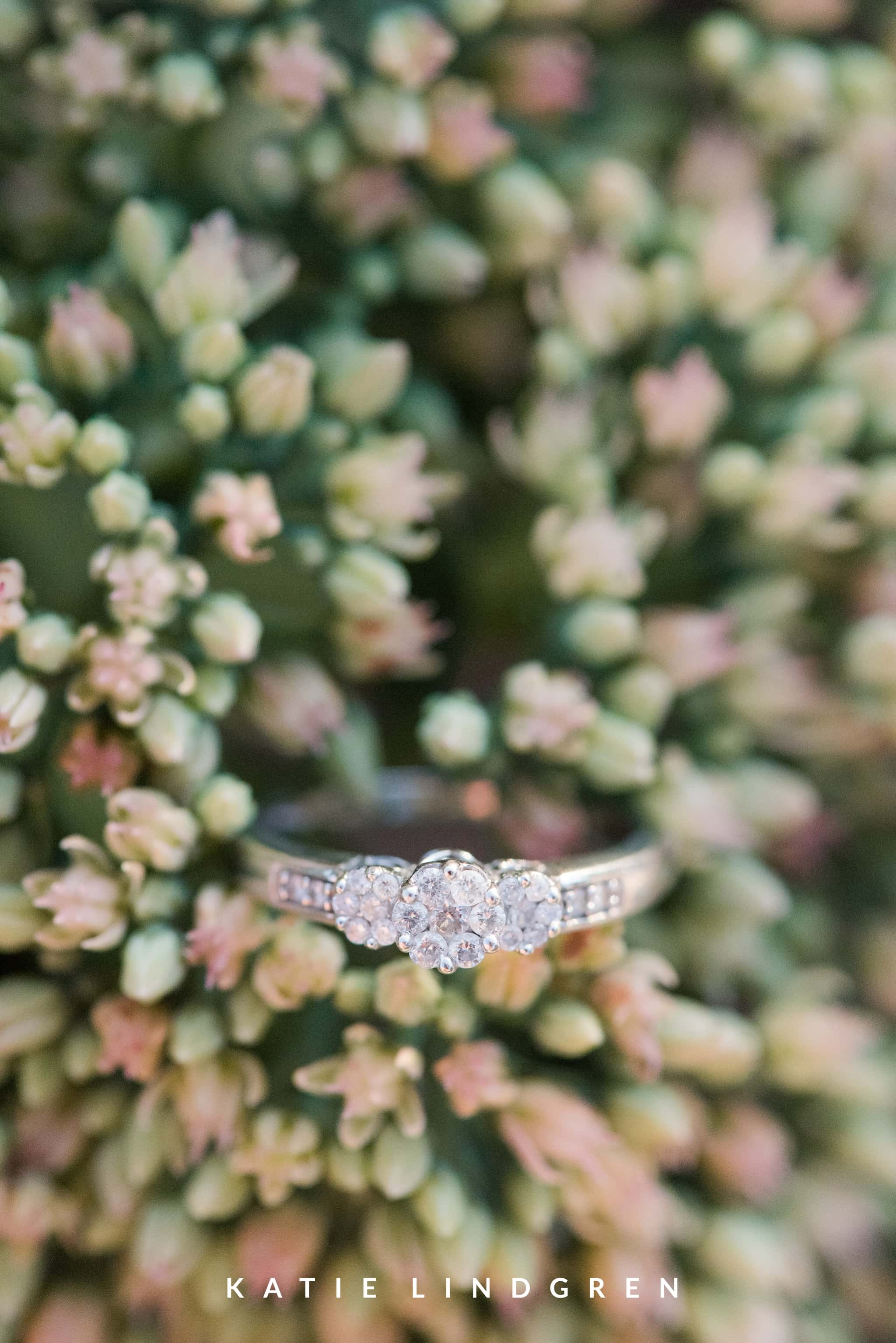 Des Moines Engagement Photographer