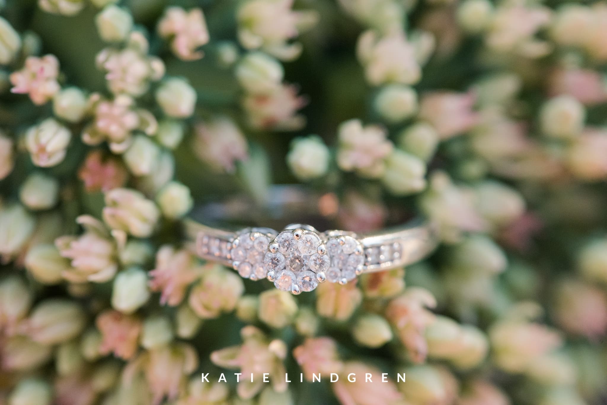 Des Moines Engagement Photographer