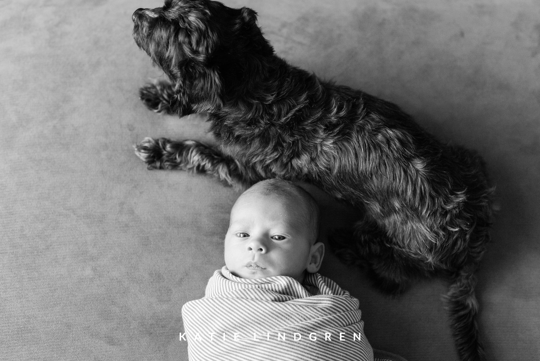 Des Moines Lifestyle Newborn Photographer