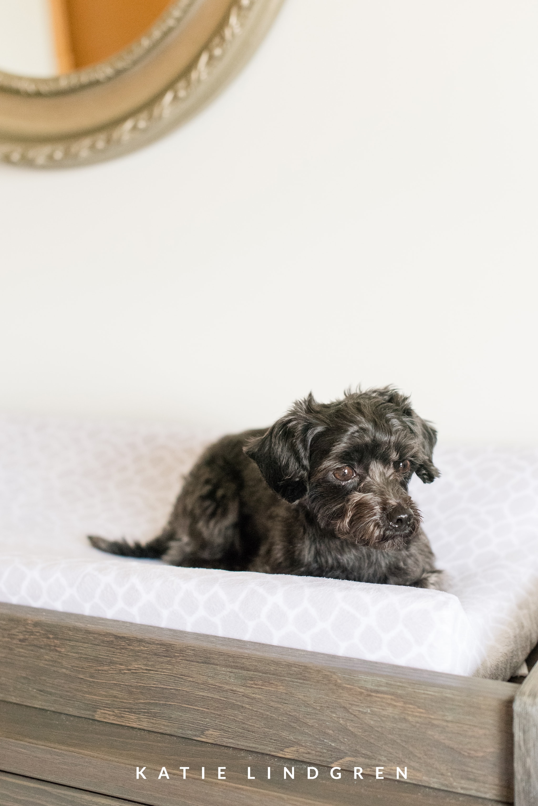 Des Moines Lifestyle Newborn Photographer