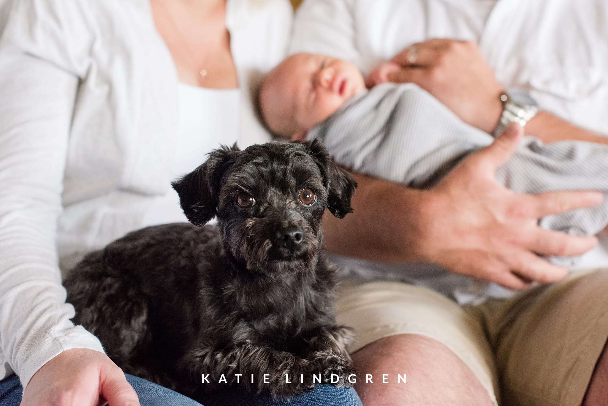Des Moines Lifestyle Newborn Photographer
