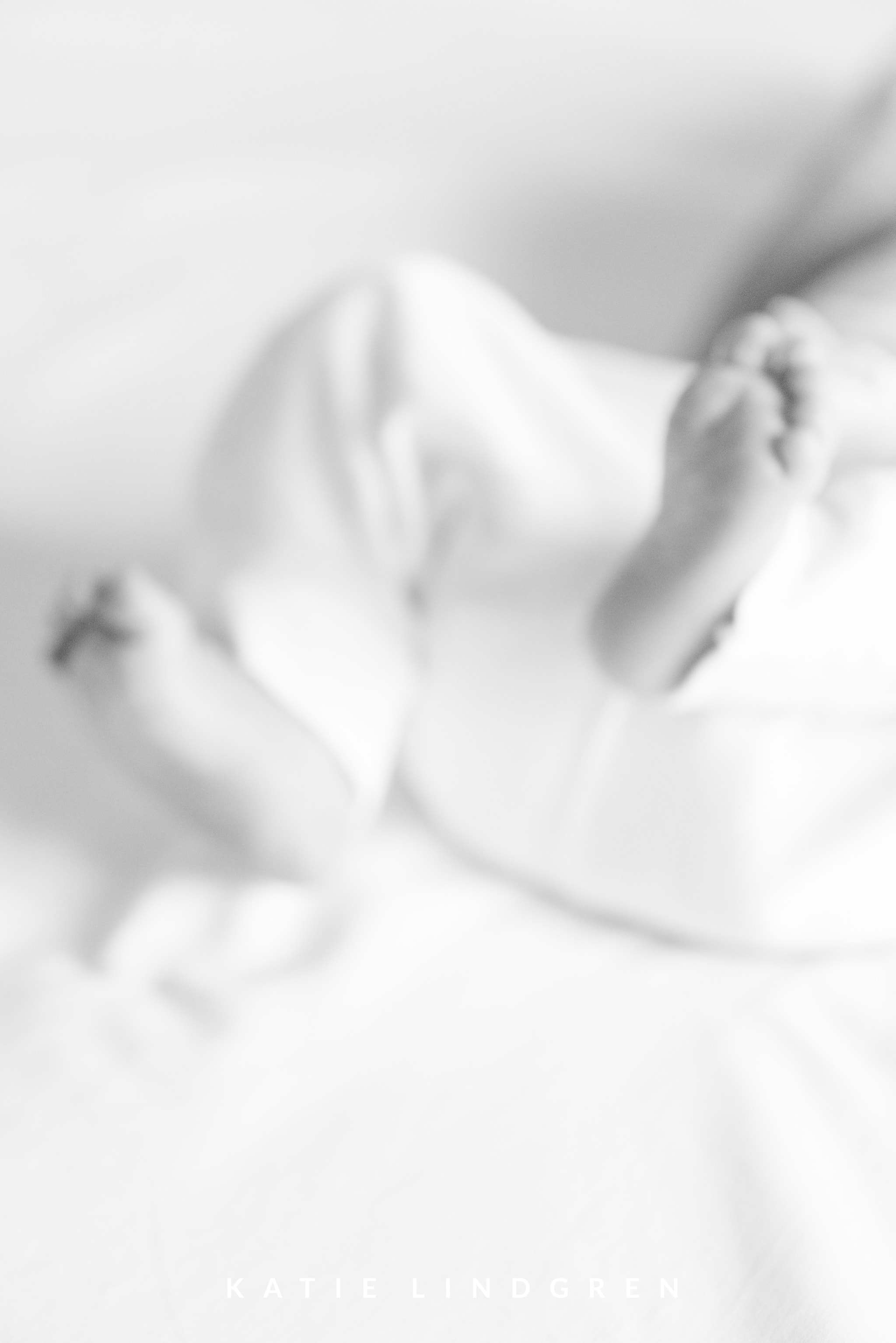 Des Moines Lifestyle Newborn Photographer