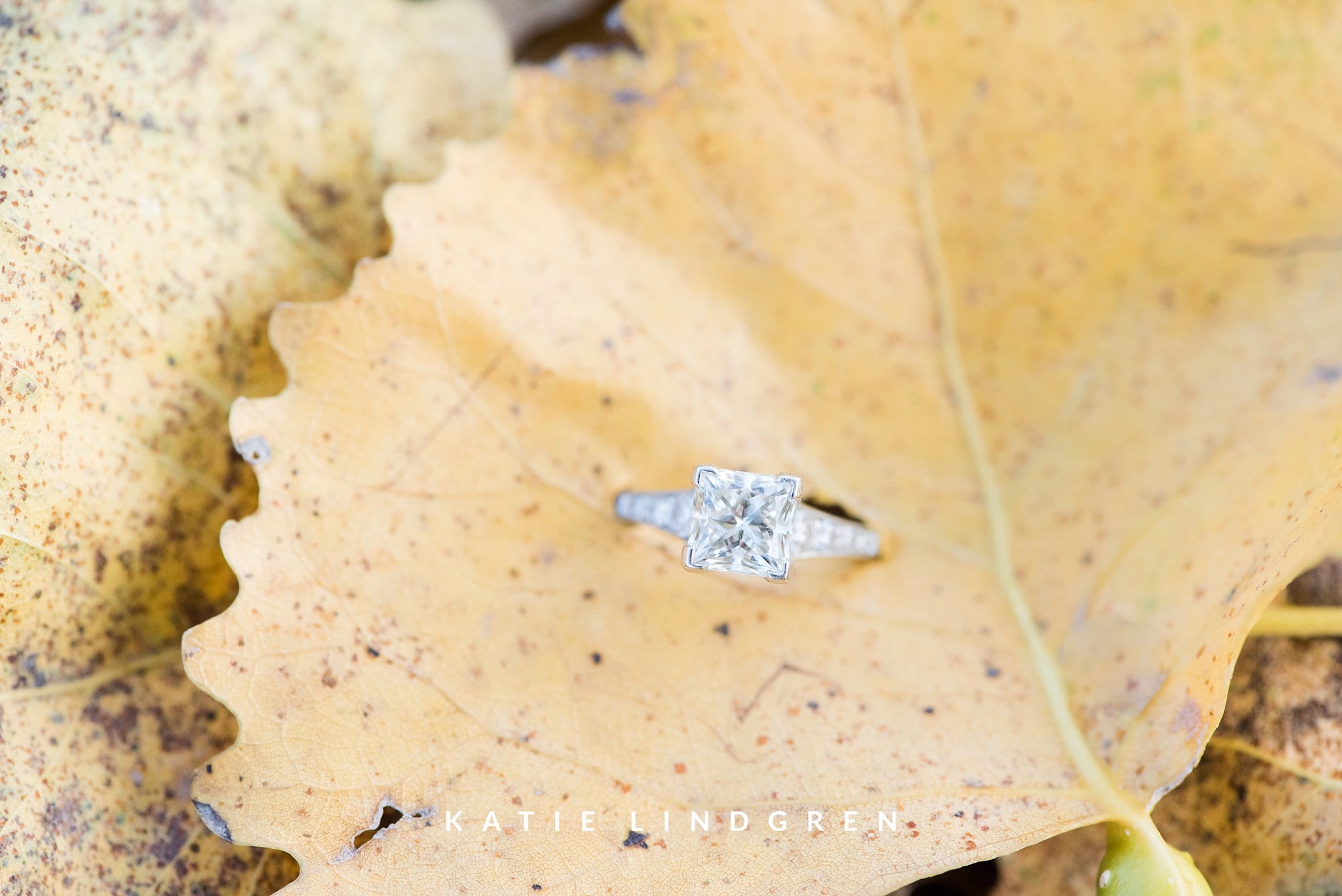 Des Moines Wedding Photographer