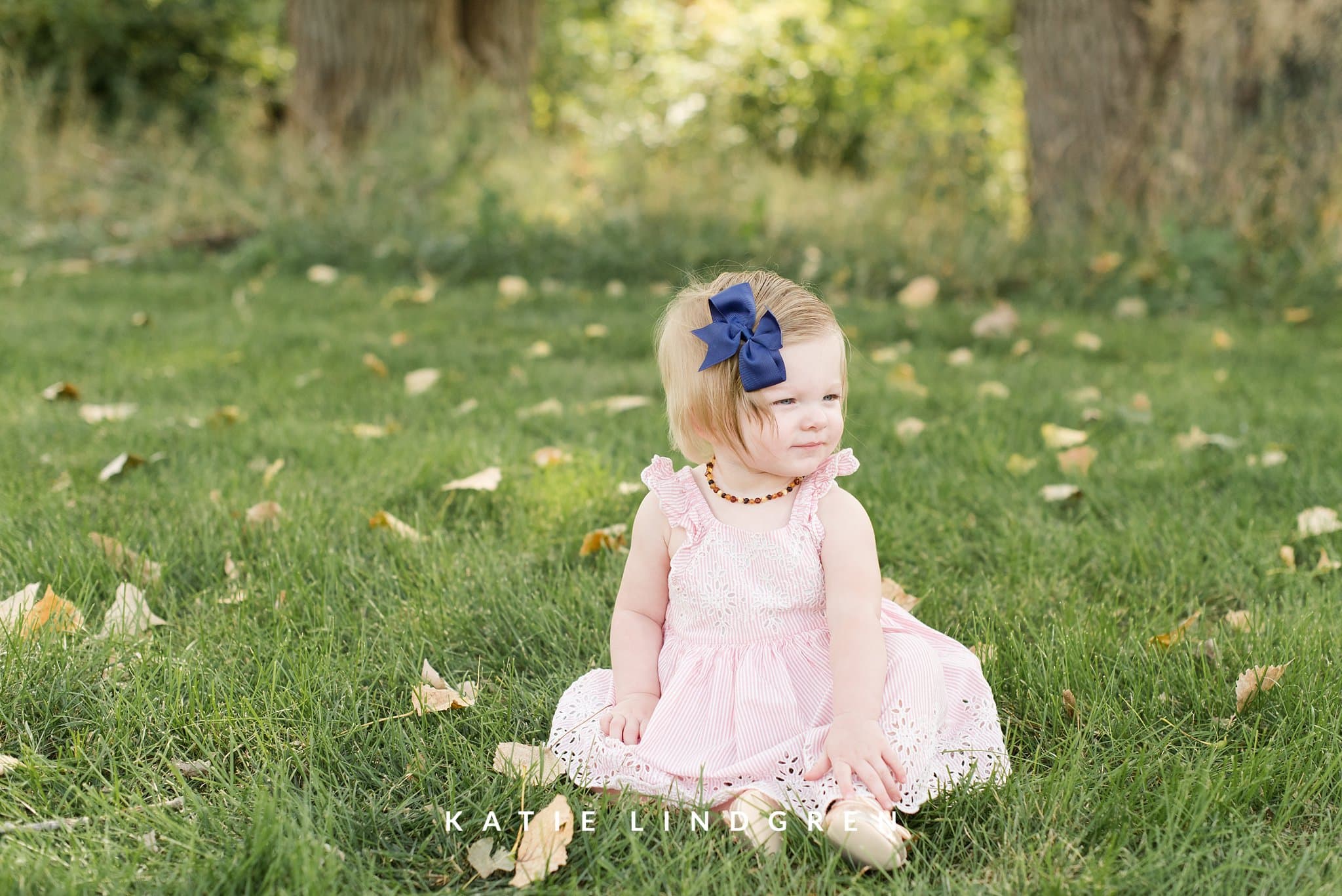 des moines family photographers