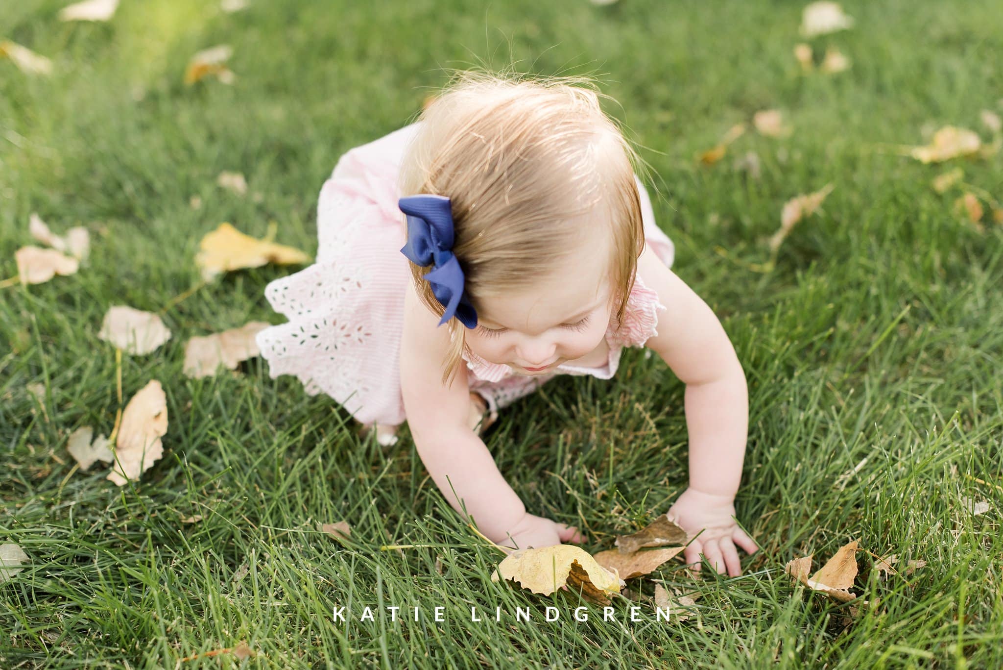 des moines family photographers