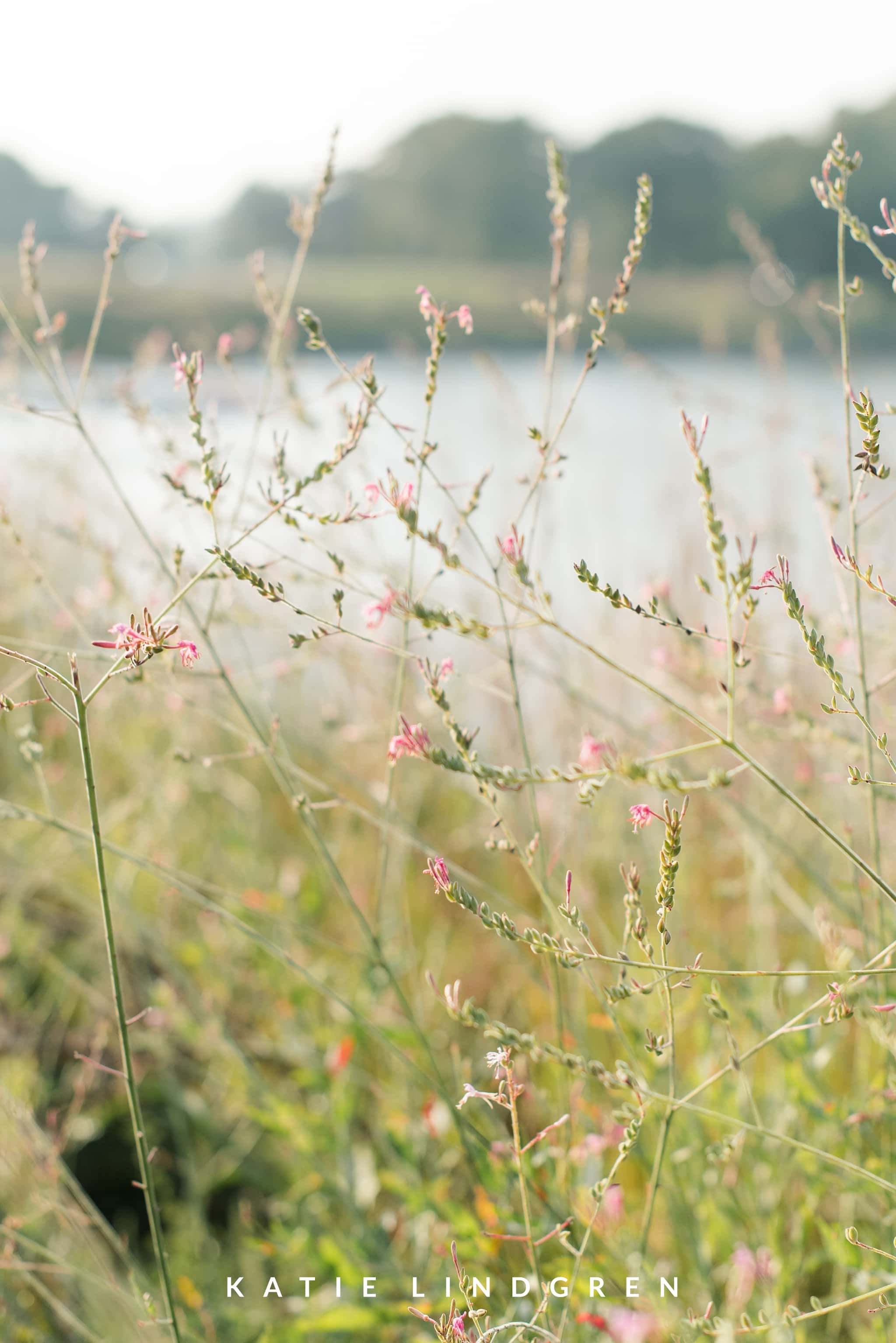 Gray's Lake Engagement Photos