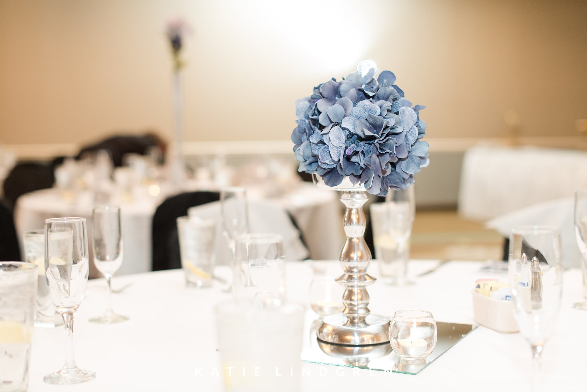 Des Moines Wedding Photographer