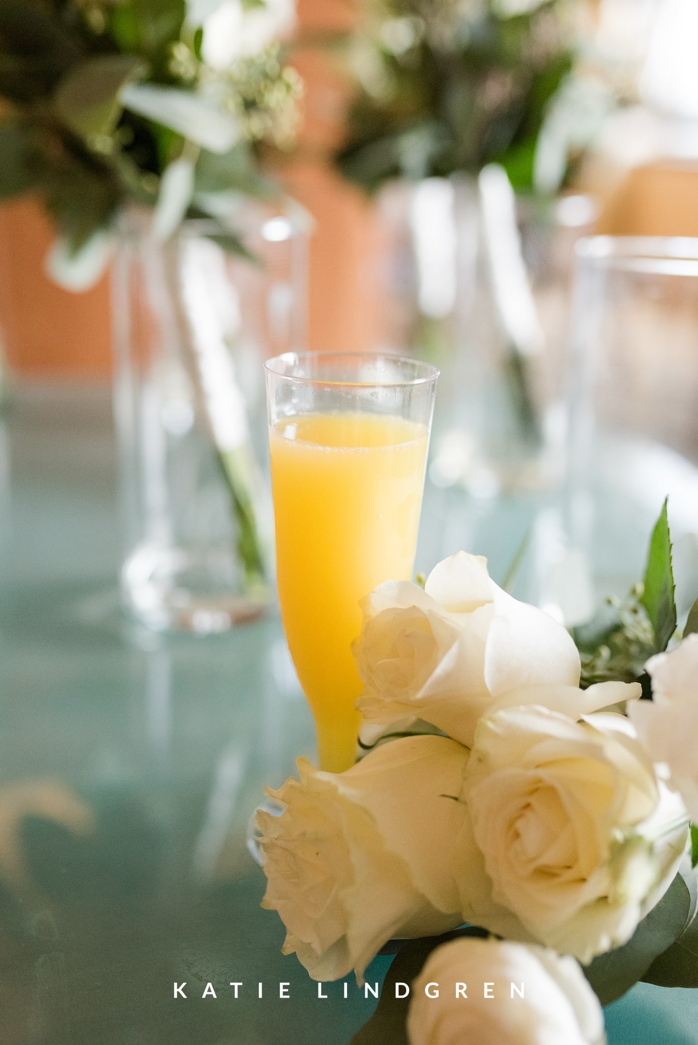 Downtown Des Moines Wedding