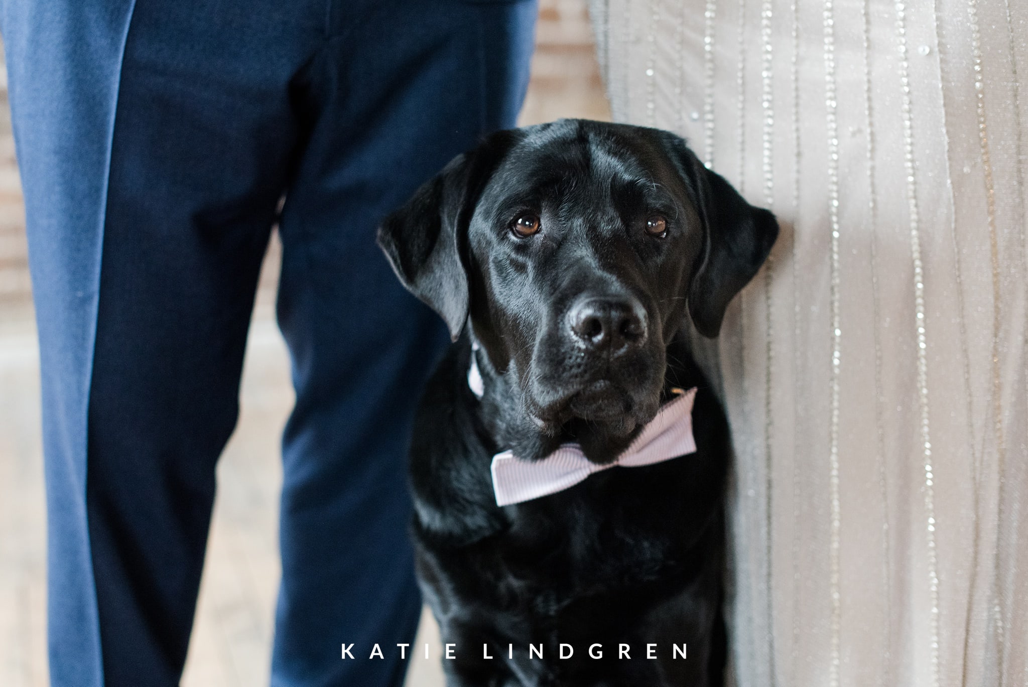 Des Moines Wedding Photographer