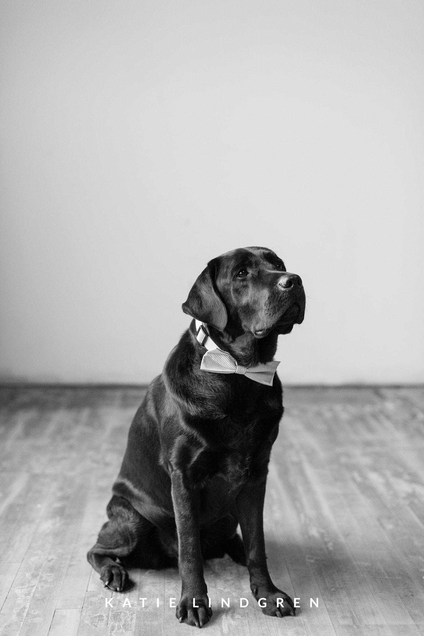 Des Moines Wedding Photographer