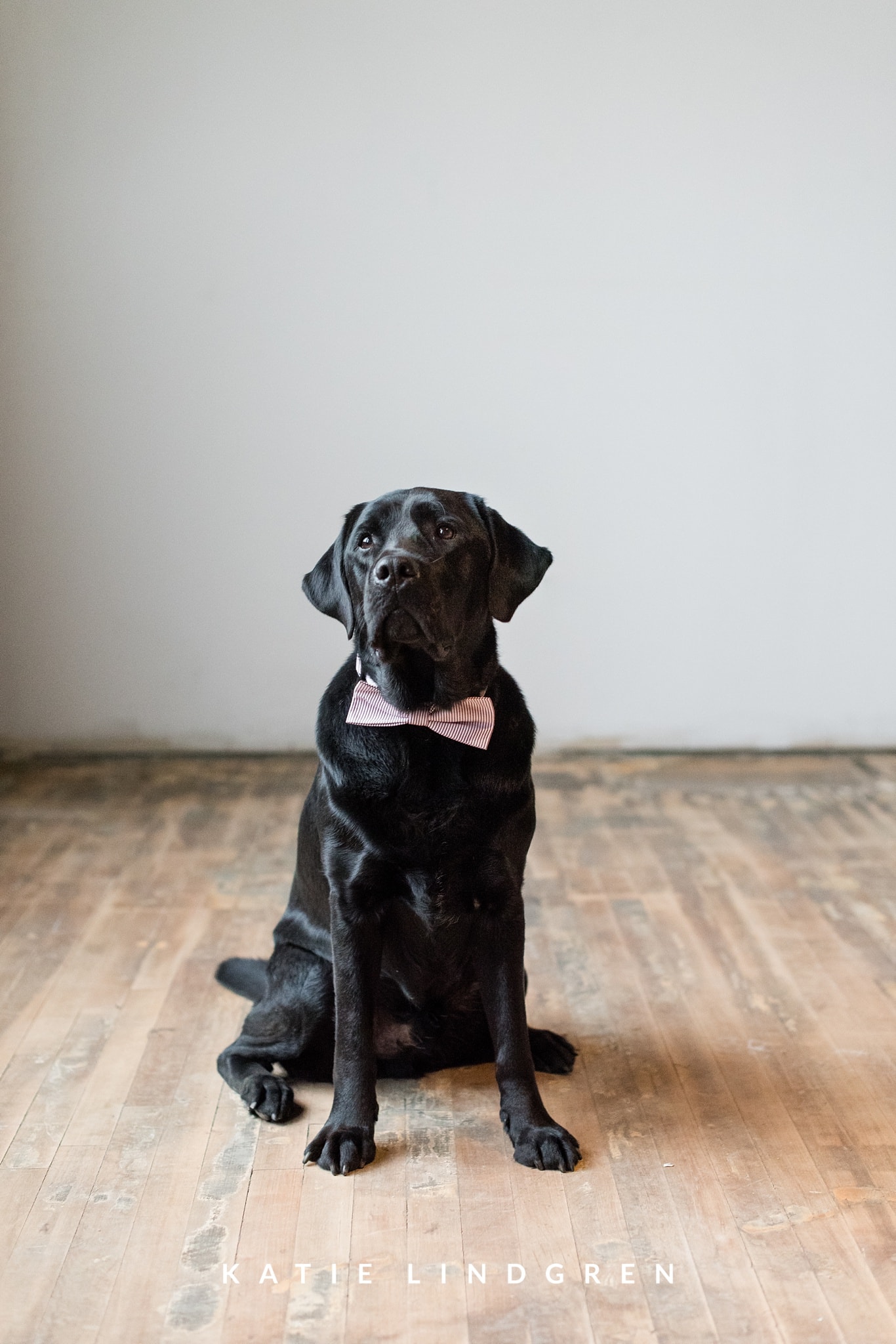 Des Moines Wedding Photographer