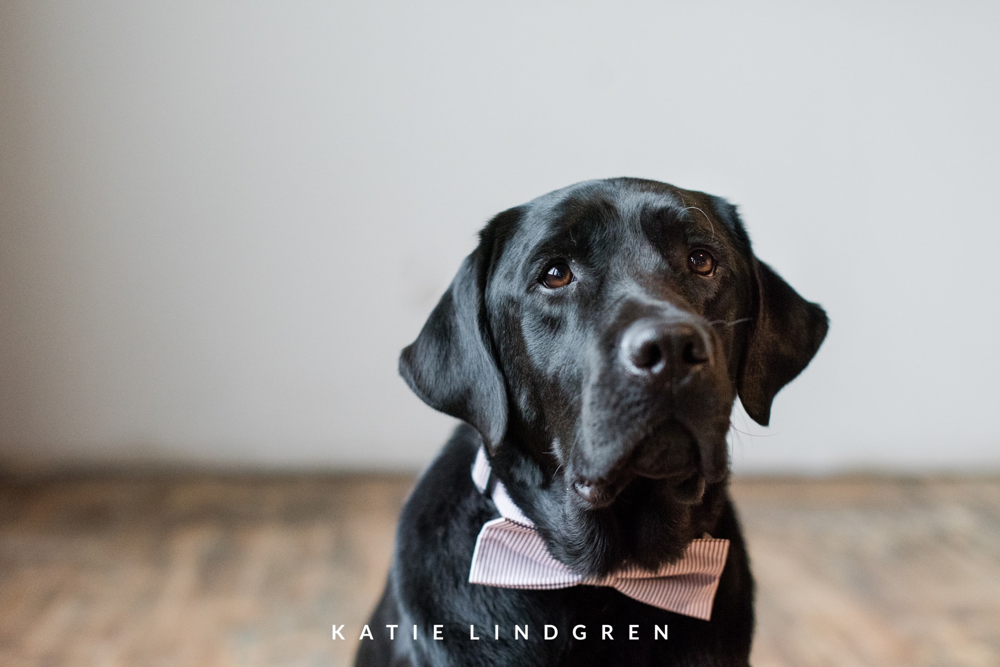 Des Moines Wedding Photographer