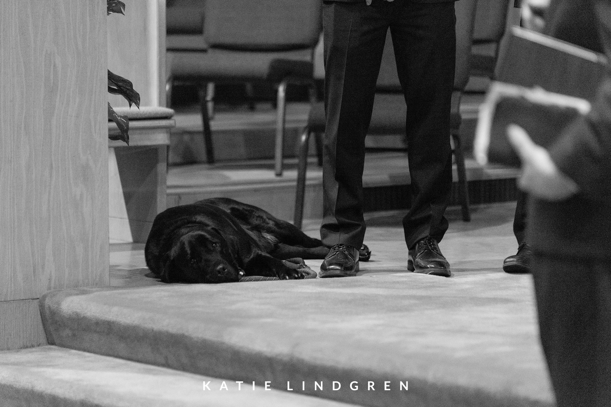 Des Moines Wedding Photographer