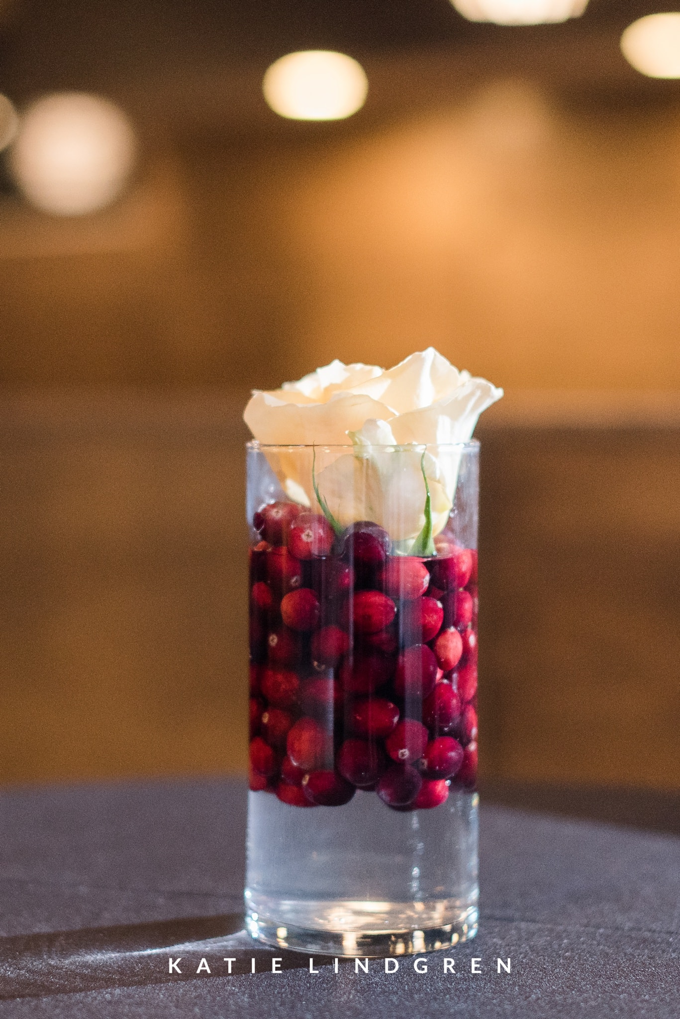 Des Moines Wedding Photographer