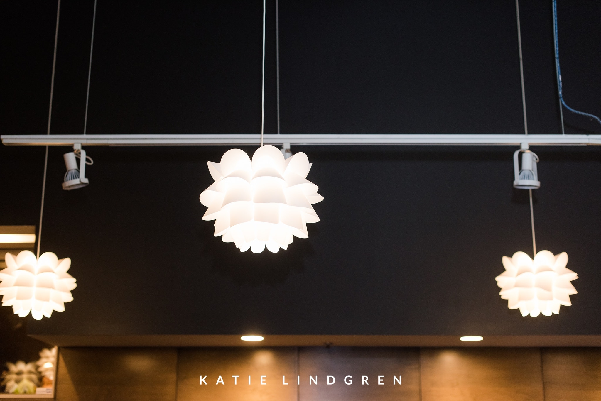 Des Moines Wedding Photographer