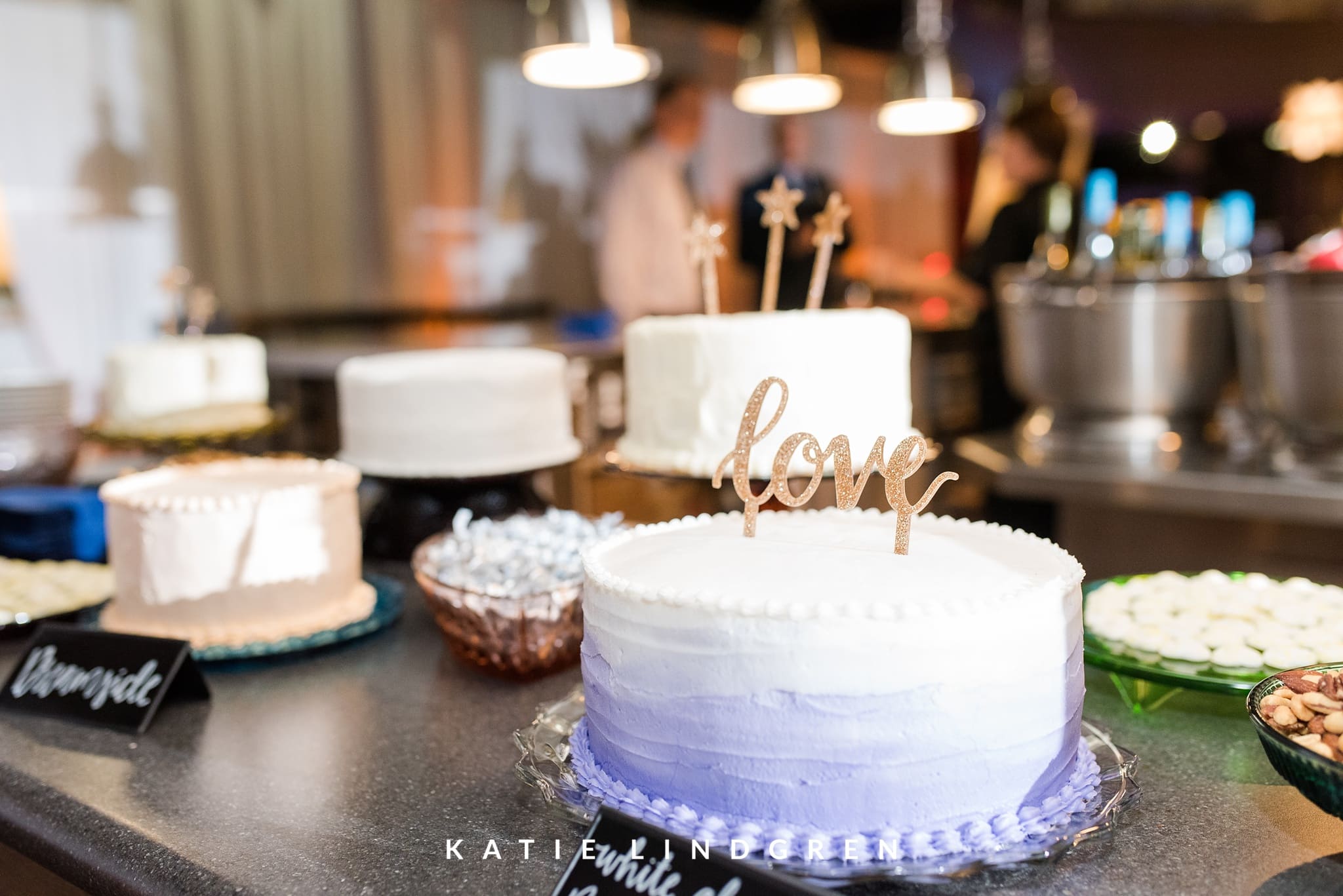 Des Moines Wedding Photographer