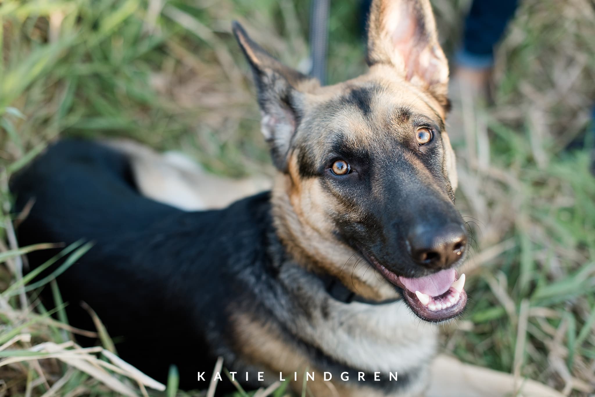 Des Moines Engagment Photographer