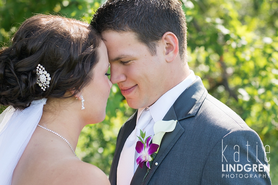 Nicole & Luke  |  Zumbrota Wedding Photographer