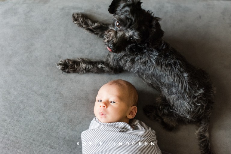 Miles Lee | Des Moines Lifestyle Newborn Photographer