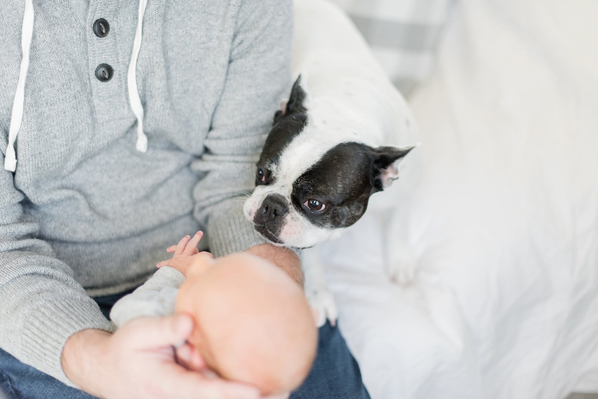 Des Moines Newborn Photographer