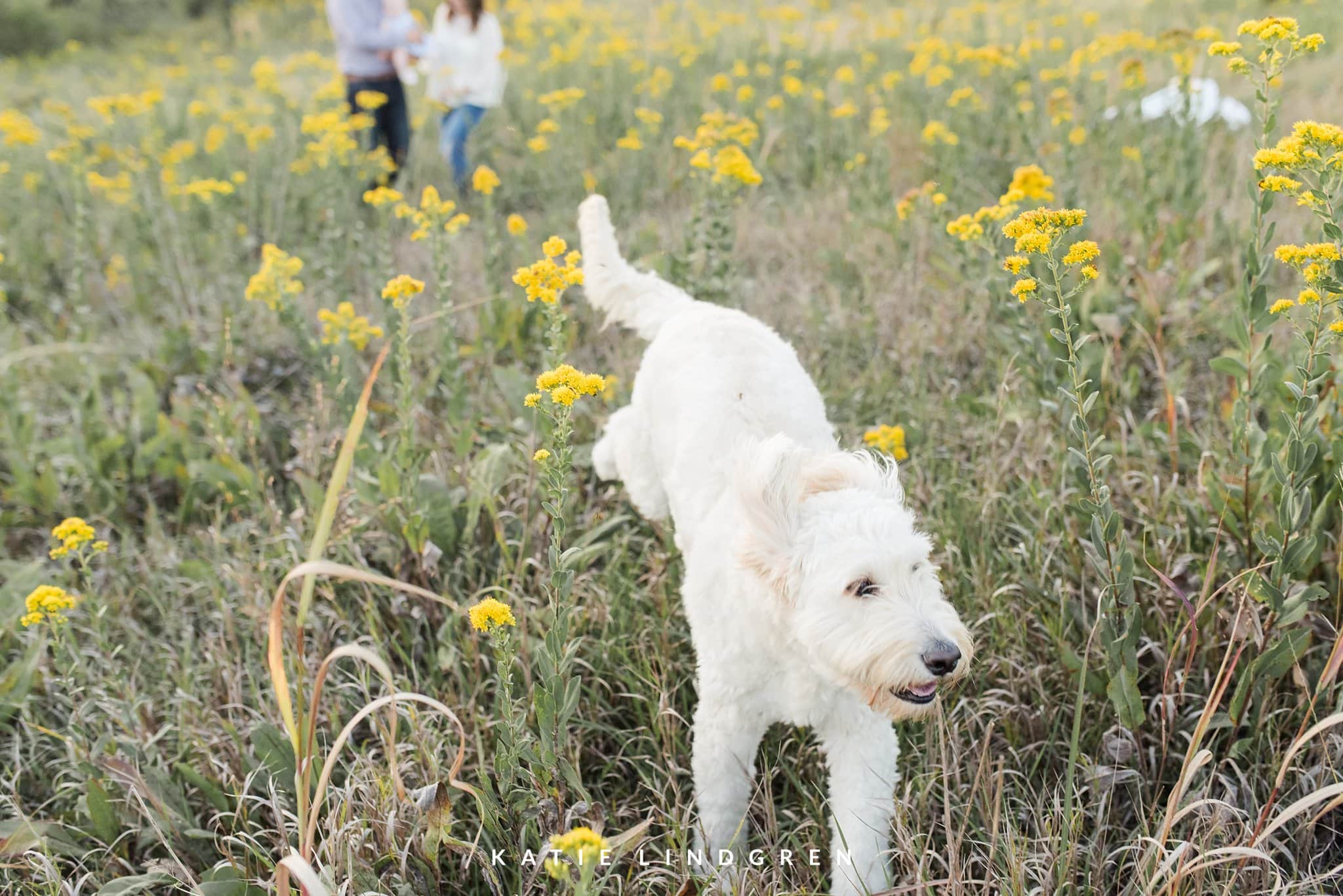 Des Moines Wedding Photographer