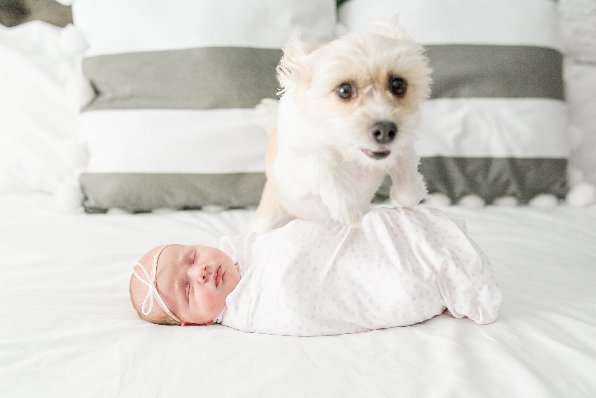 Des Moines Lifestyle Newborn Session